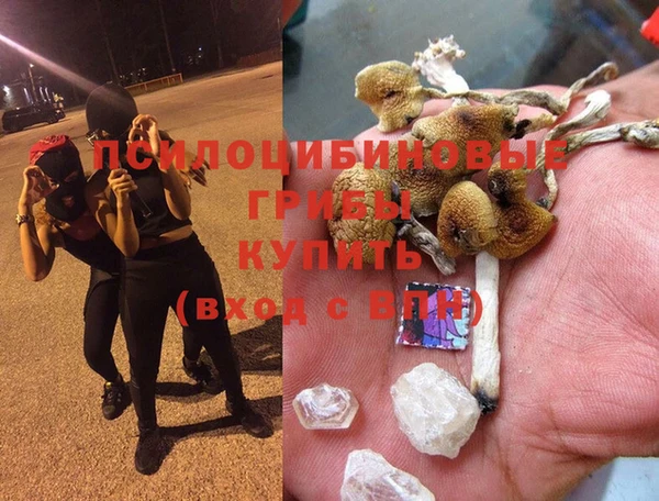 а пвп мука Надым