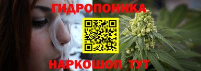 экстази Сланцы