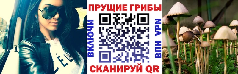 Псилоцибиновые грибы мухоморы  hydra ссылки  Хасавюрт 