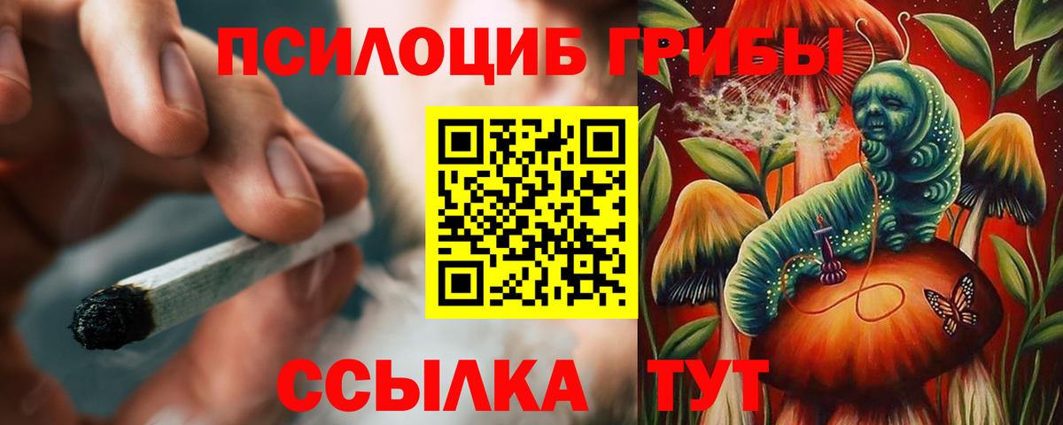 Галлюциногенные грибы мицелий Хасавюрт