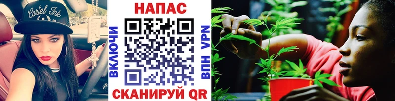 наркошоп  Хасавюрт  Каннабис OG Kush 